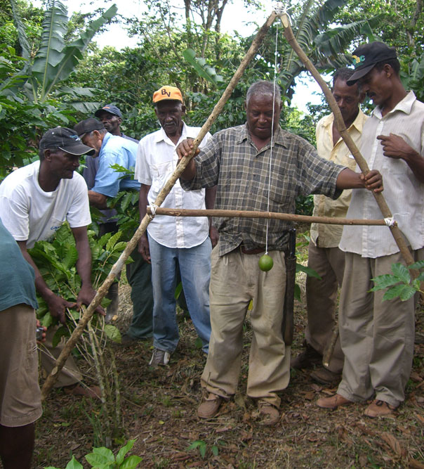 construction in dominican republic